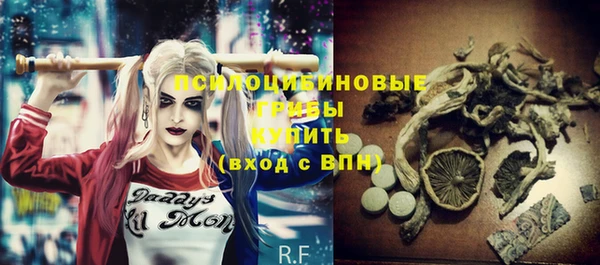 мдпв Нестеровская