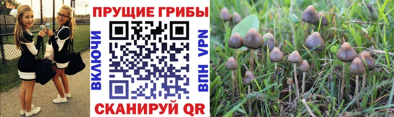 Галлюциногенные грибы MAGIC MUSHROOMS  Одинцово 